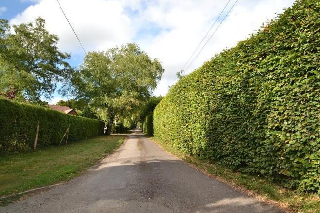 The lane