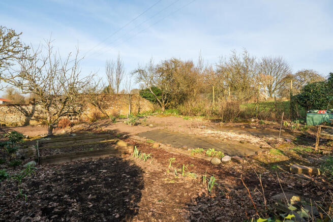 Kitchen Garden