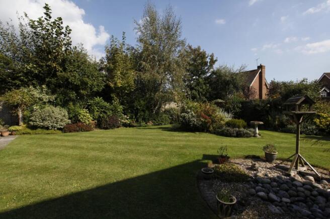 Garden again