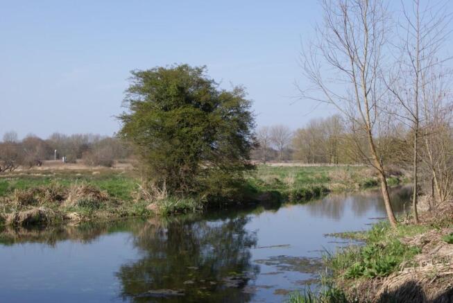 River View