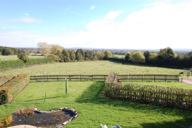 View from Window