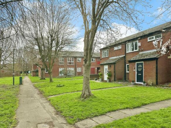 editedimage-df2dbea8-0d41-4909-bdf8-5ab344fda364 2