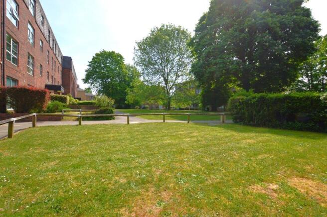 Garden Area