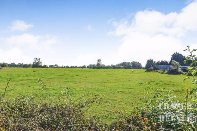 Rural View