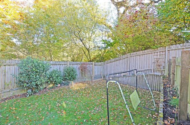 garden 2.jpg