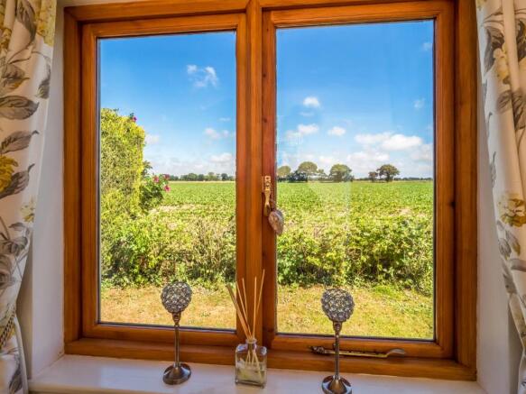 Window