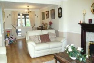 Extra Shot Of Lounge