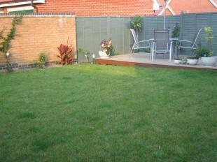 Rear Garden 2