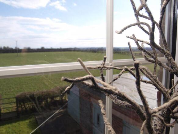 Room with A View