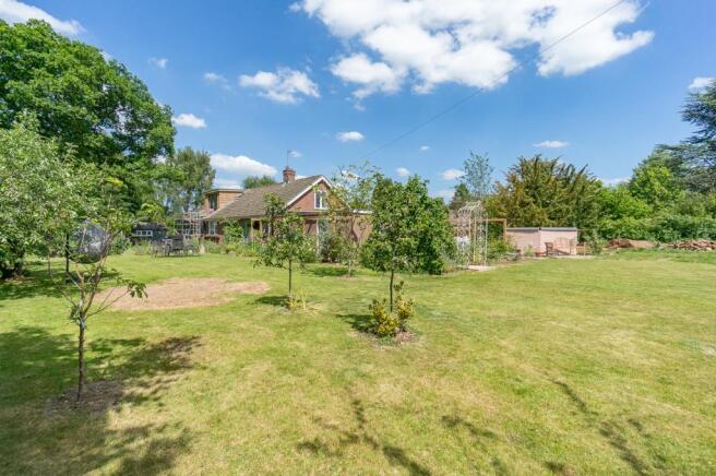 Garden at Back