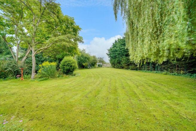 Back Garden