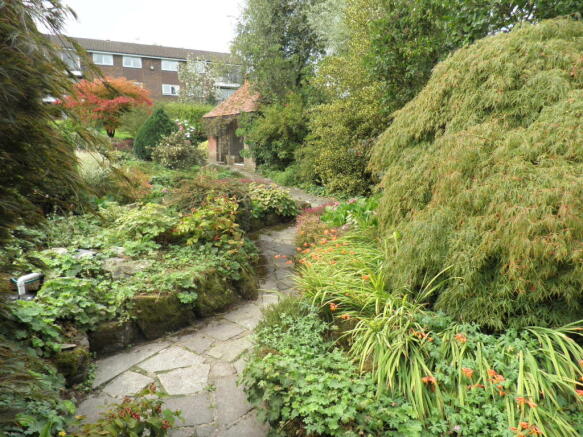 Photo 5