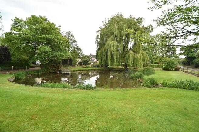 View Of Pond