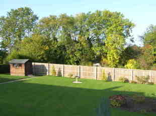 'Tree Tops'