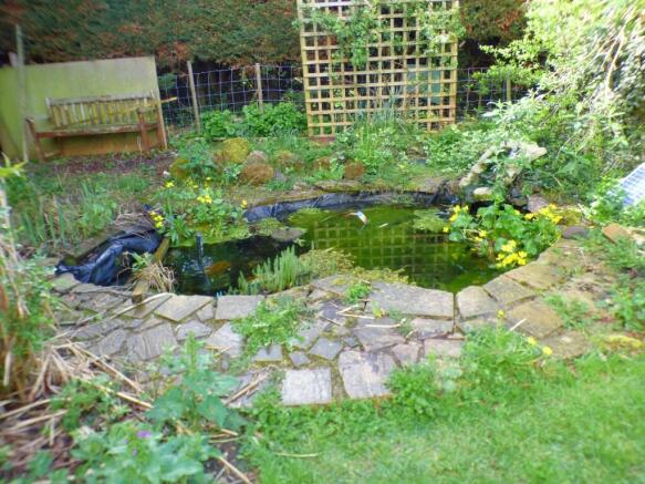 Pond