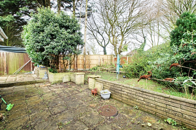 Back garden
