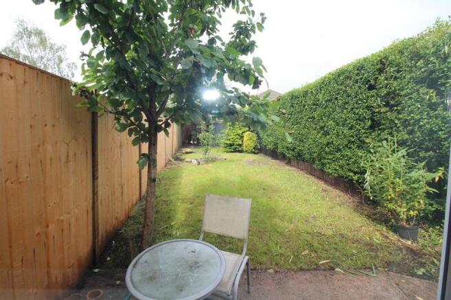 Back Garden - Lawn