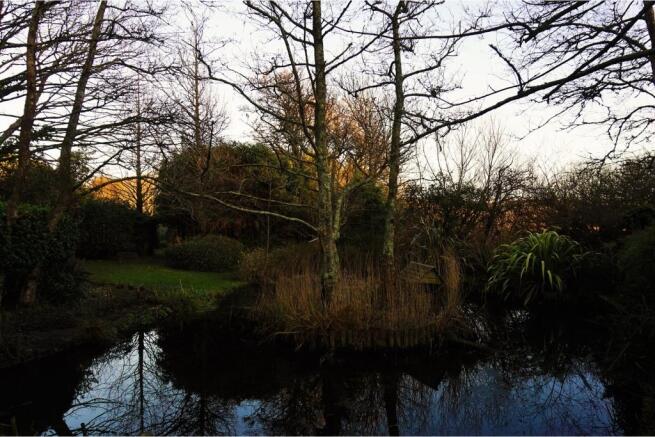 Pond