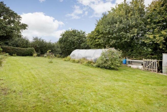 Lawn with Polytunnel