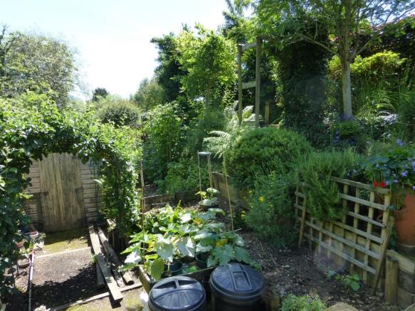 Photo 14