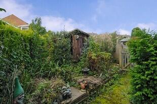 Garden Photo 1