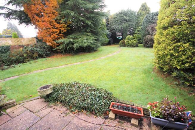 garden 1.jpg