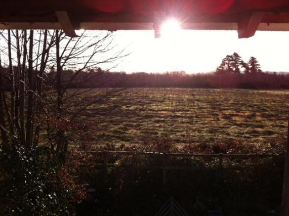 Field View