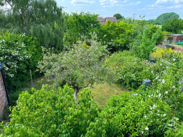 Garden 4_edited