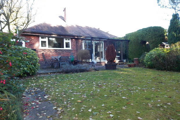 Photo 11