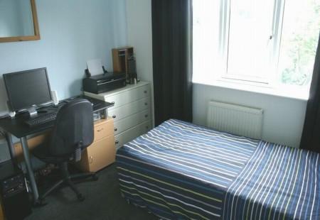Photo 5