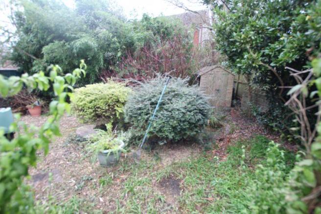 Rear garden