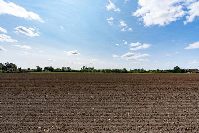 Field Views