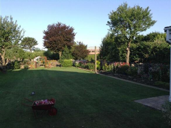 Photo 15