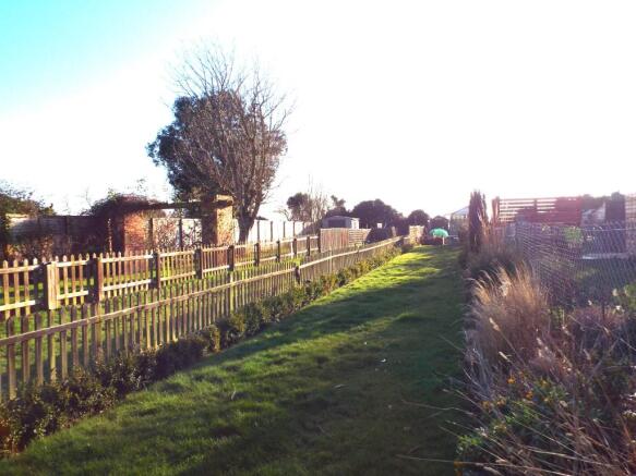South facing Garden