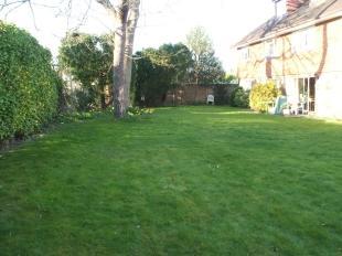 Communal Garden