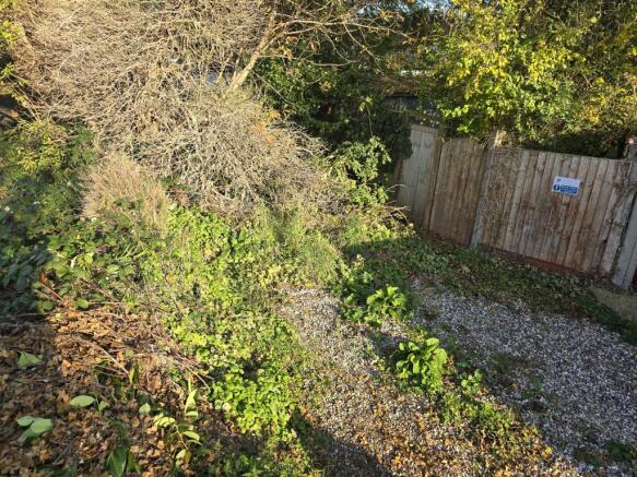 1000318893 T202511101020.jpg