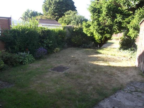 Garden (2)