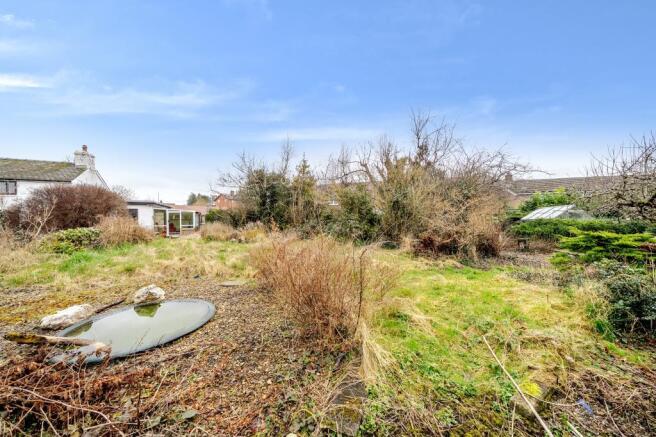 Photos
