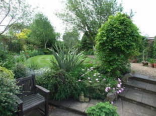 Photo 5