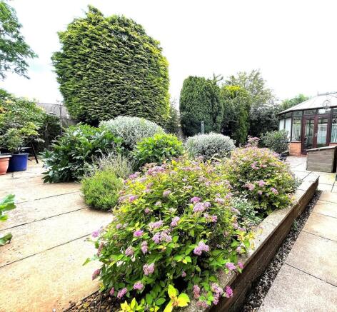 Garden Flowers
