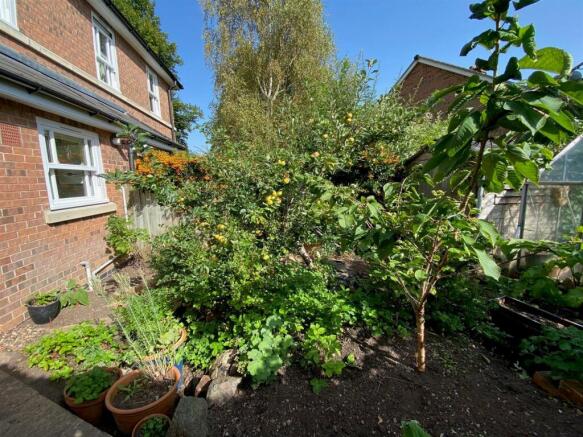 Garden.jpg