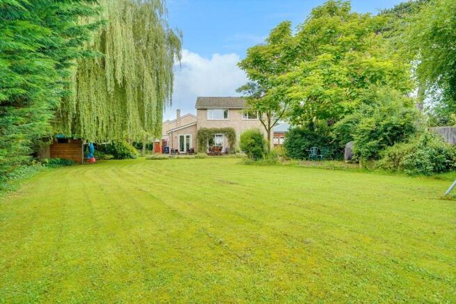 Back Garden