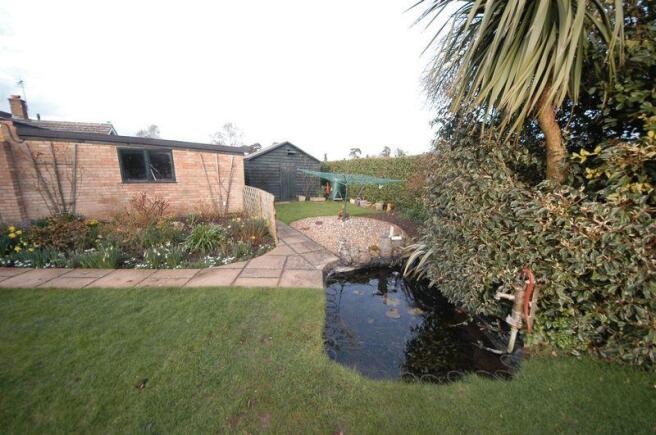 Photo 15