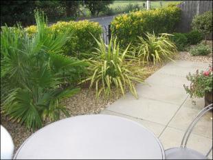 Rear Yard