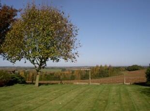 Far Reaching Views