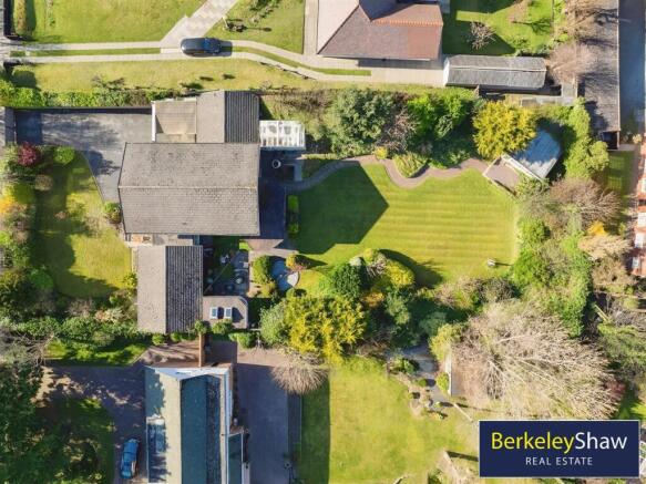 Plot view