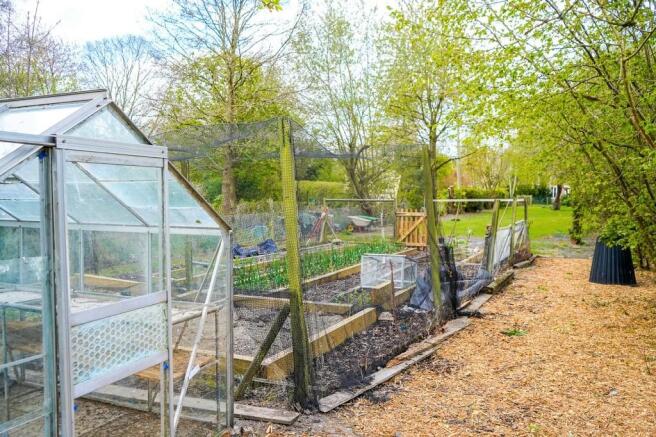 Vegetable Garden