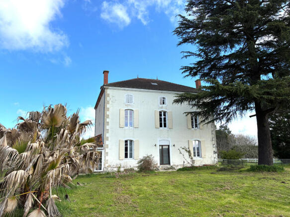 Photo 3