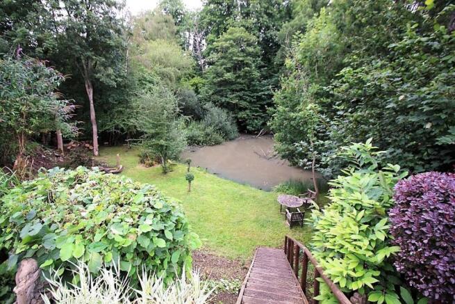 'Wild Pond'