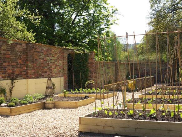 Vegetable Garden